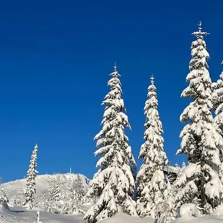 Holiday home Helt Ny Blane Hytte *